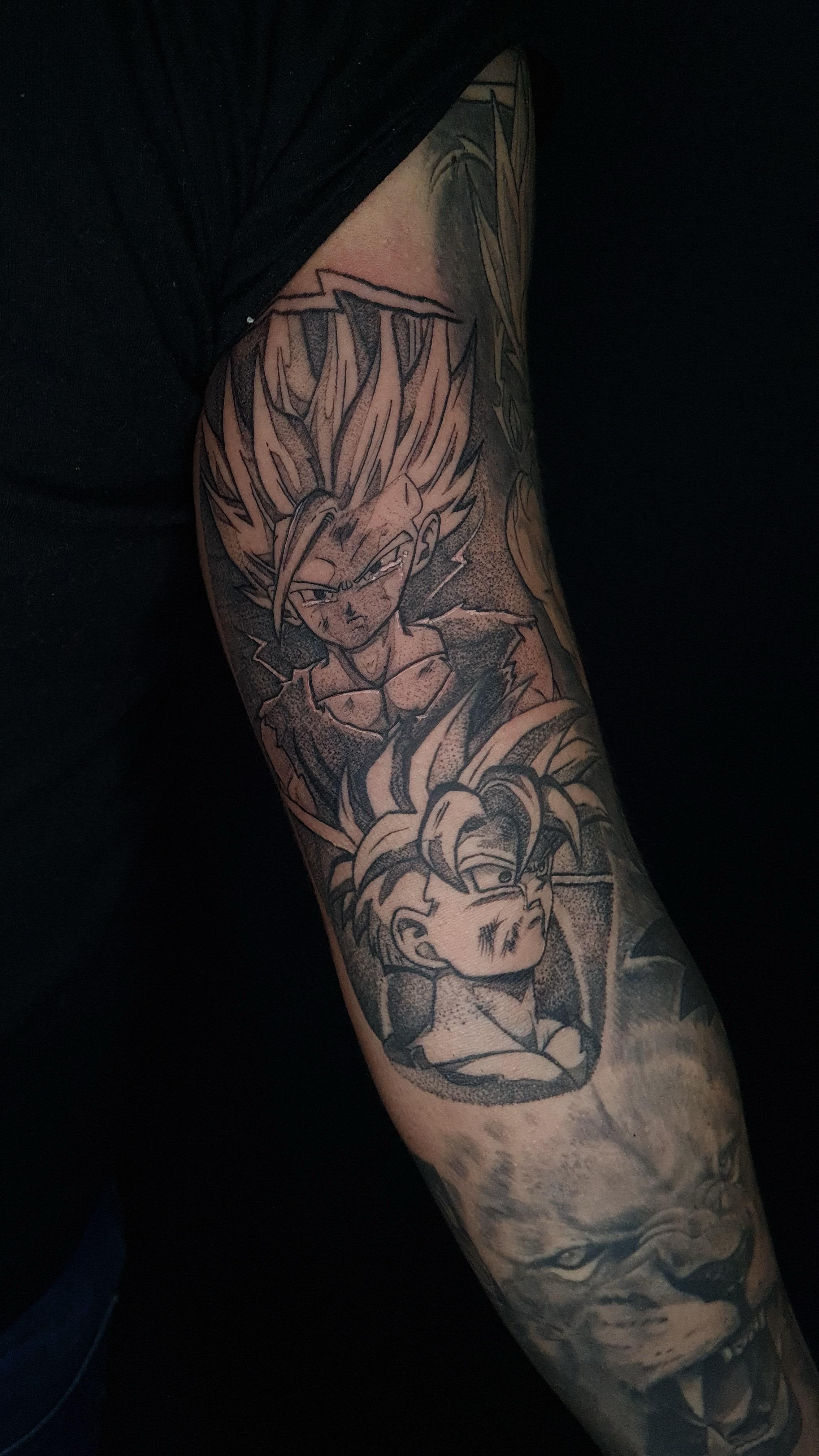 Gohan (Dragon Ball), anime